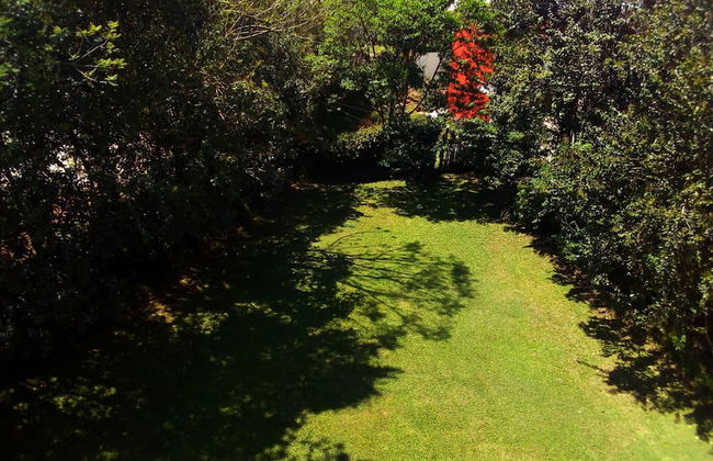 House of Ficus Banderilla,veracruz-mexico - Foto 50