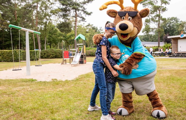 Luxury Chalet With Dishwasher, in a Holiday Park in the Middle of De Veluwe - Foto 26