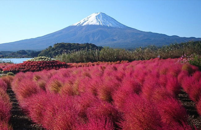 Lake Villa Kawaguchiko - Photo 46