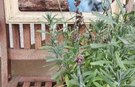 Gästewohnung Urfttalsperre - Photo 1