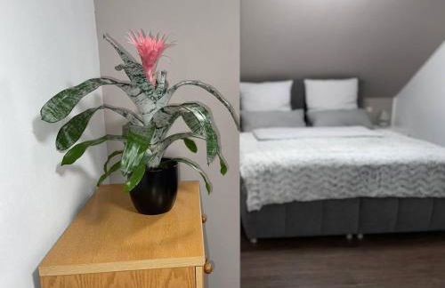 Einzigartiges Apartment, mitten in der Natur - Foto 15