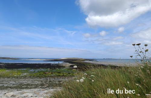 le petit moulin de Kerloroc - Foto 33