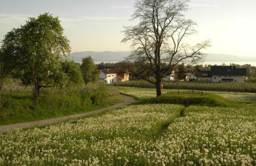 Ferienwohnung Bania - Foto 18
