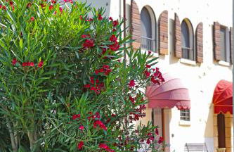 Apartments Colombara Bardolino - Foto 34