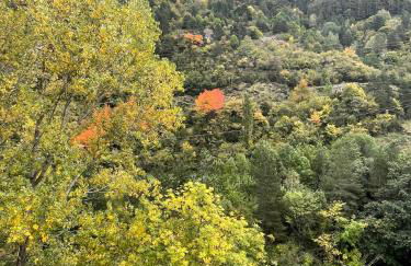 CALMFRANC ático abuhardillado con vistas al río y la montaña Avistamiento de ciervos en Canfranc Pueblo - Foto 58