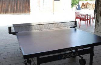 Ferienhaus am Donauspitz - Foto 40