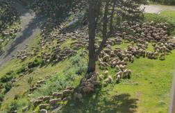 Appartement Edelweiss Chamrousse vue sur Recoin La Croix de Chamrousse Grenoble - Foto 22