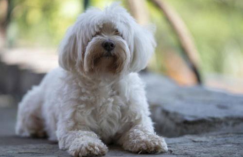 House Casa Huerta - Foto 29