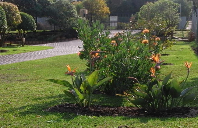 Horizon Cottages - Photo 67