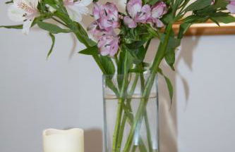 Seascape at coed y berclas - Foto 22