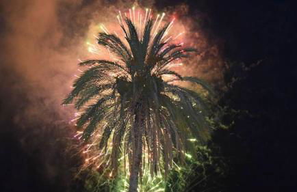 Alojamientos Villarias Archena - Foto 42