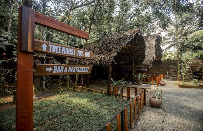 Inn On The Tree Eco Resort Sigiriya - Photo 13