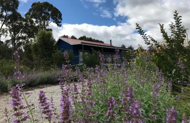 Outlook Hill Vineyard Cottages - Foto 48