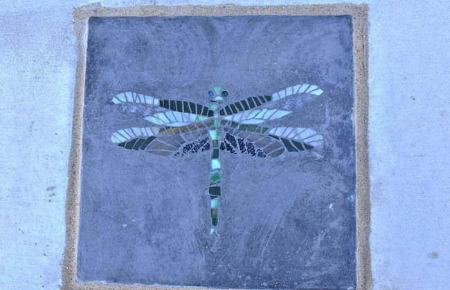 Johnson's Shut-ins State Park - Foto 25