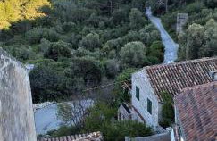 Agriculture & Holiday house Lasko - Photo 13