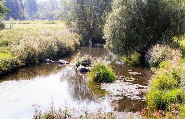 Apartment Near the ski Area in Wehrstapel - Foto 40