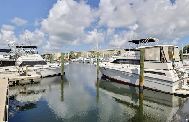 Parrot Perch by Avantstay Old Town Key West w/ Shared Pool Month-long Stays Only - Foto 73