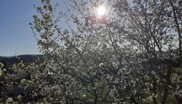 Ioannina Cozy Retreat - Foto 2