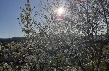 Ioannina Cozy Retreat - Foto 2