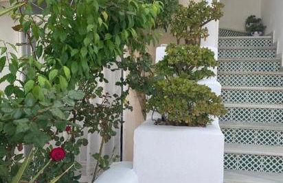 Vera Playa La Medina - Foto 43