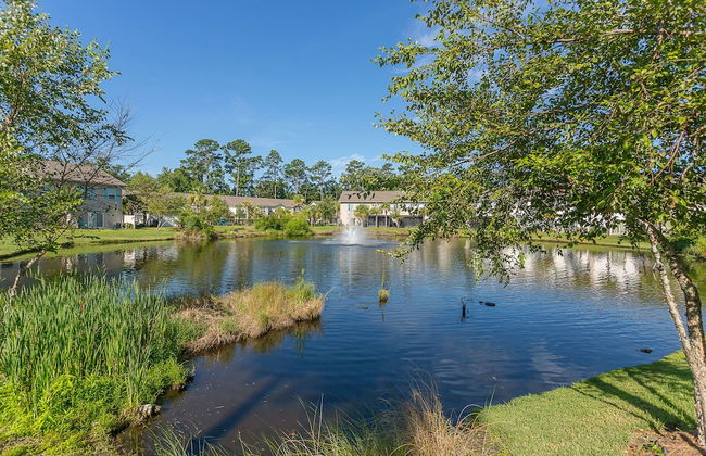 1203 Reserve Lane by Hodnett Cooper - Foto 29