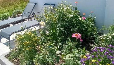 A Casa de Fóra - Foto 3, Garden