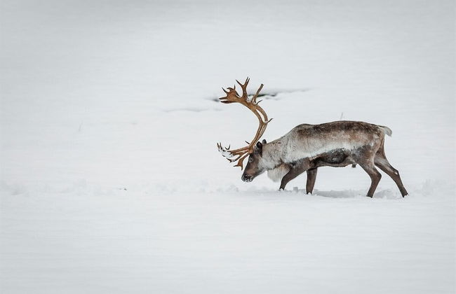 By the Sea Luxury Villa - Foto 26