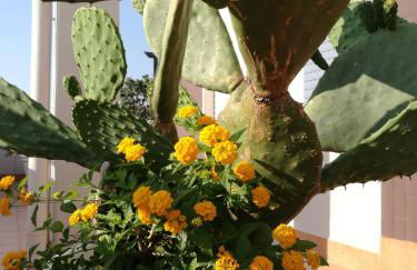 IsolaAzzurra - Foto 22