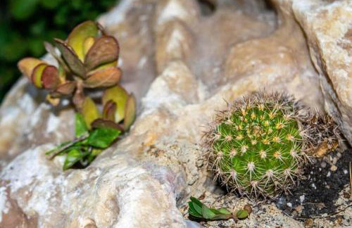 Istron Avra - Foto 52