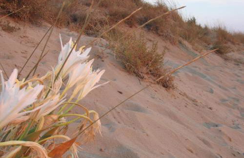 Residence delle Nazioni - Foto 28