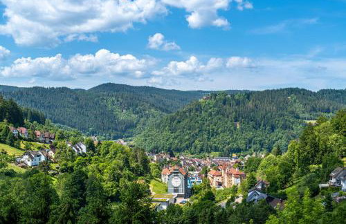 Ferienwohnungen Schwabenhof - Foto 46