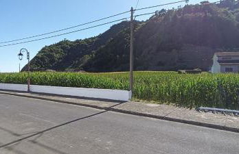 Casa do Faial da Terra - Photo 5