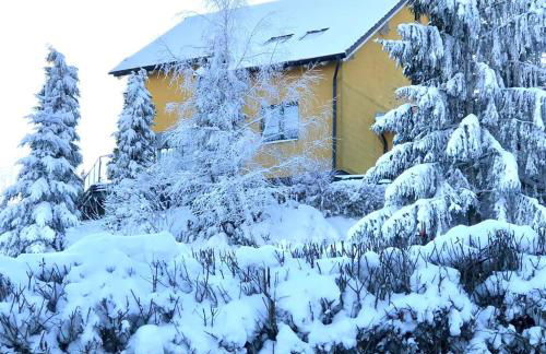 Fewo Kuller - Foto 20