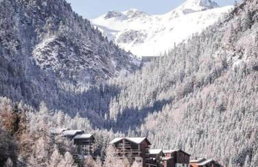 Appartement aux pieds des pistes - Foto 12