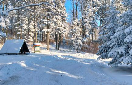Domek Cichy Zakątek Beskid Niski - Foto 48