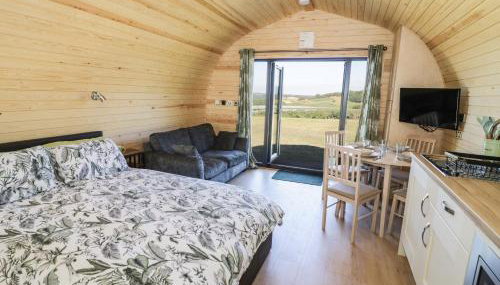 Ailsa Craig - Photo 5