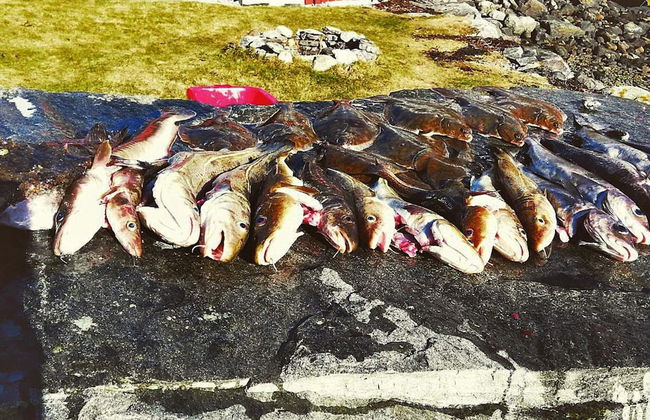 8 Person Holiday Home in Austefjorden - Foto 16