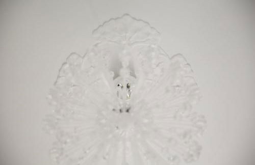 Circ Romà - Foto 32