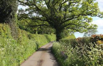 The Flat, Hillcroft for 2 guests - Foto 10