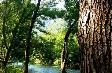 Dimitriou Rooms - Foto 27