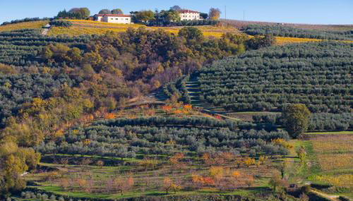 Agriturismo Casa Zen - Foto 4