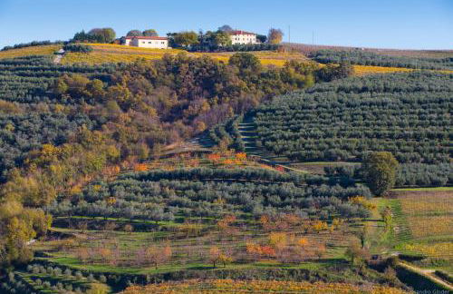 Agriturismo Casa Zen - Foto 4