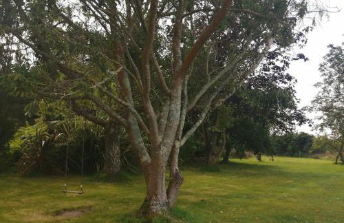 Villa des Agapanthes - Foto 58