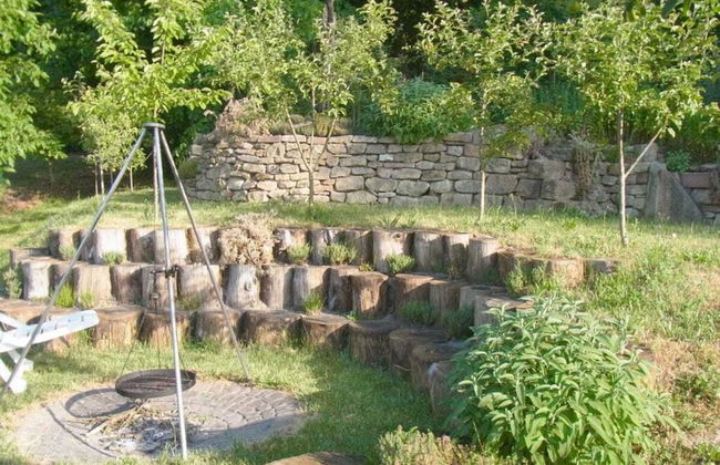 Pfaelzerleben - Foto 16