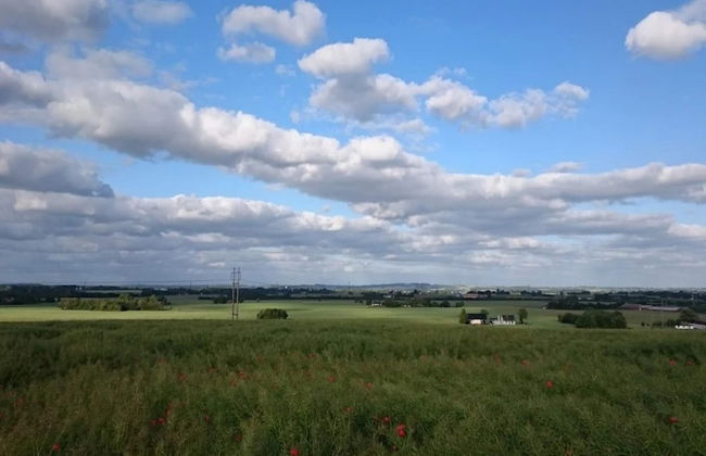 4 Person Holiday Home in Store Fuglede-by Traum - Foto 5