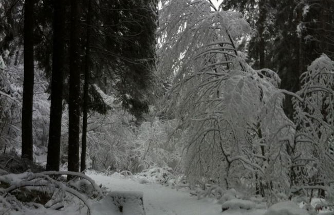 Locanda Alla Stella - Foto 49