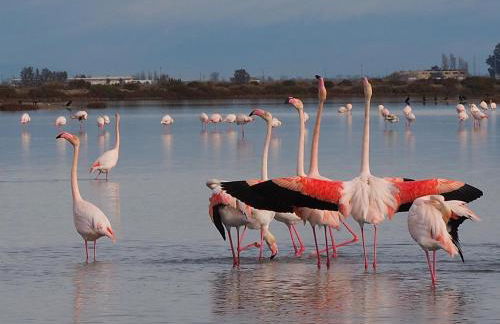 Apartamento Plaza de la Iglesia - Foto 21