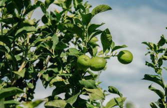 Kukutseli Country Living by WhiteDream Villas - Foto 26