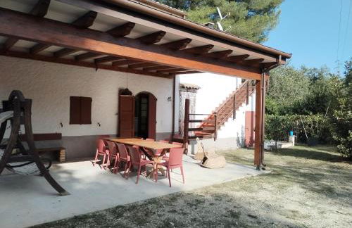 Boschetto sul mare - Foto 4