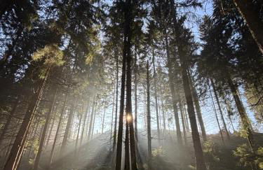 Haus Brockenblick - Foto 39